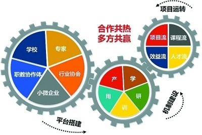 儿童身心发展的规律和教育启示